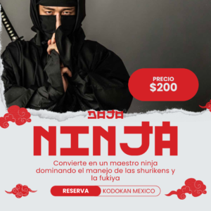 Experiencia Ninja